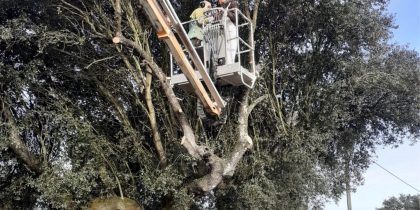 Condicionamento de trânsito na Estrada Municipal 508